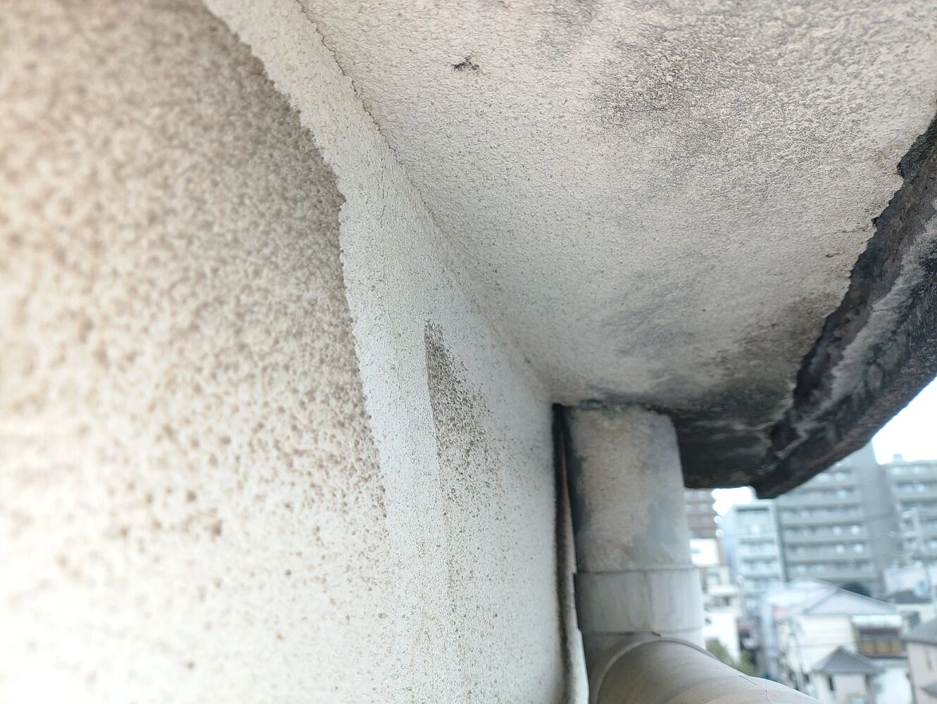 画像15724
