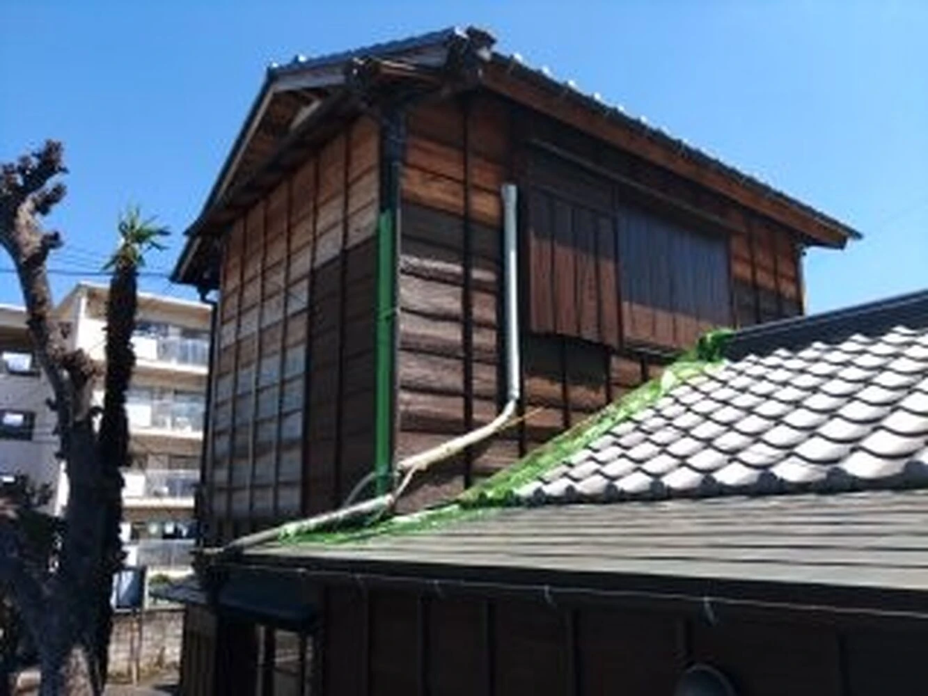 画像3354