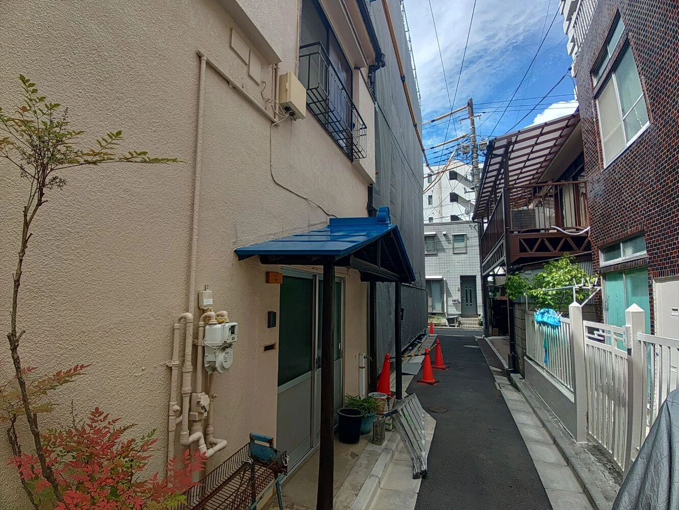 画像8136